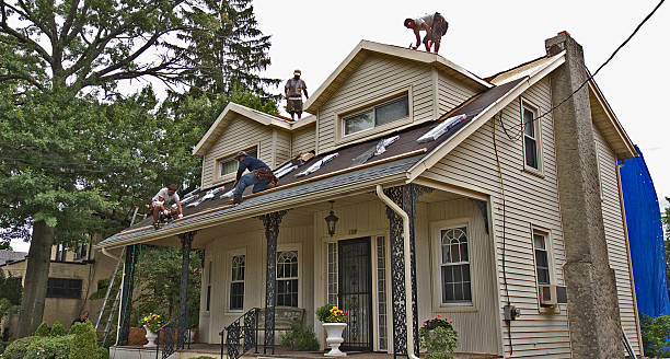Best Residential Roofing Contractor  in Dwight, IL